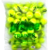 Prince Trainer Tennis Balls 60 Pack